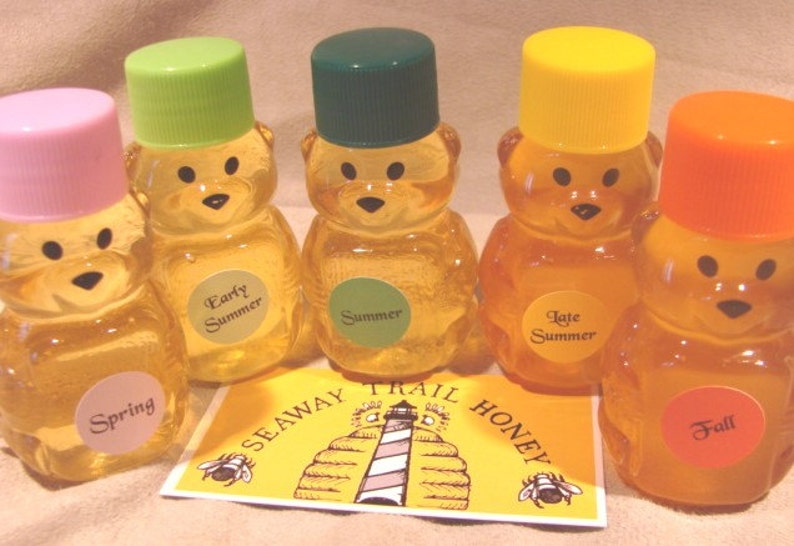 Mini Pure Honey Bear Seasonal Jar Gift 2oz Favor New York Kosher Etsy