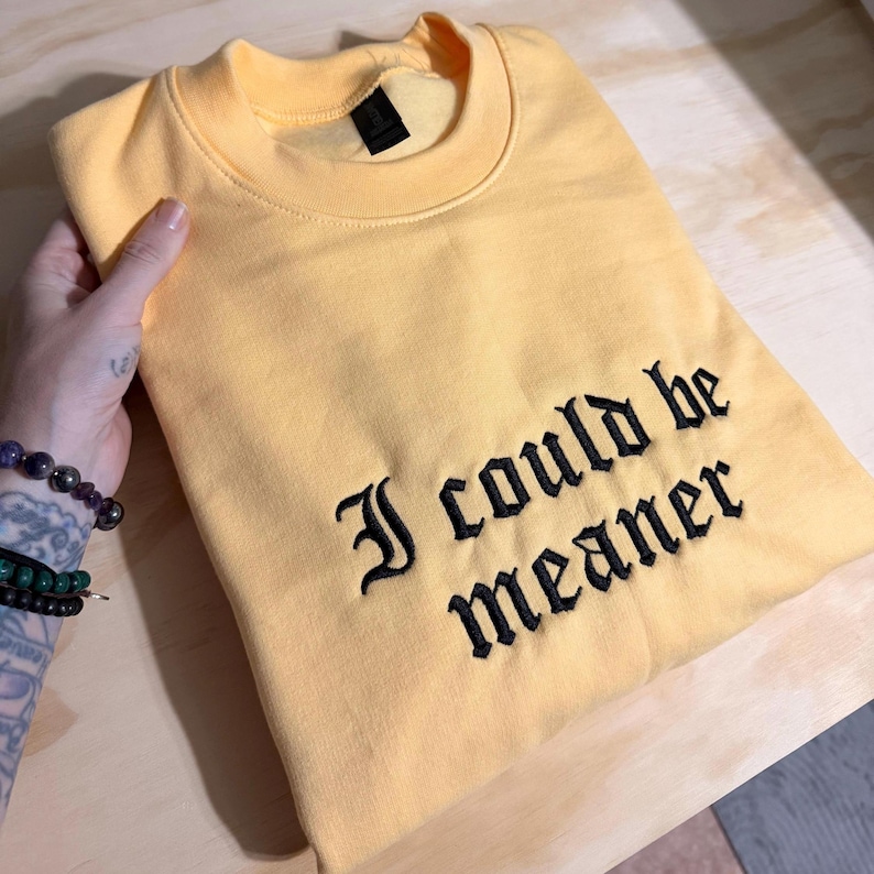 I Could Be Meaner Embroidered Sweatshirt, Funny Humor Shirt, Sarcastic Tee, Funny Quote Crewneck, Sarcasm Shirt, Trendy Shirt for Women image 8