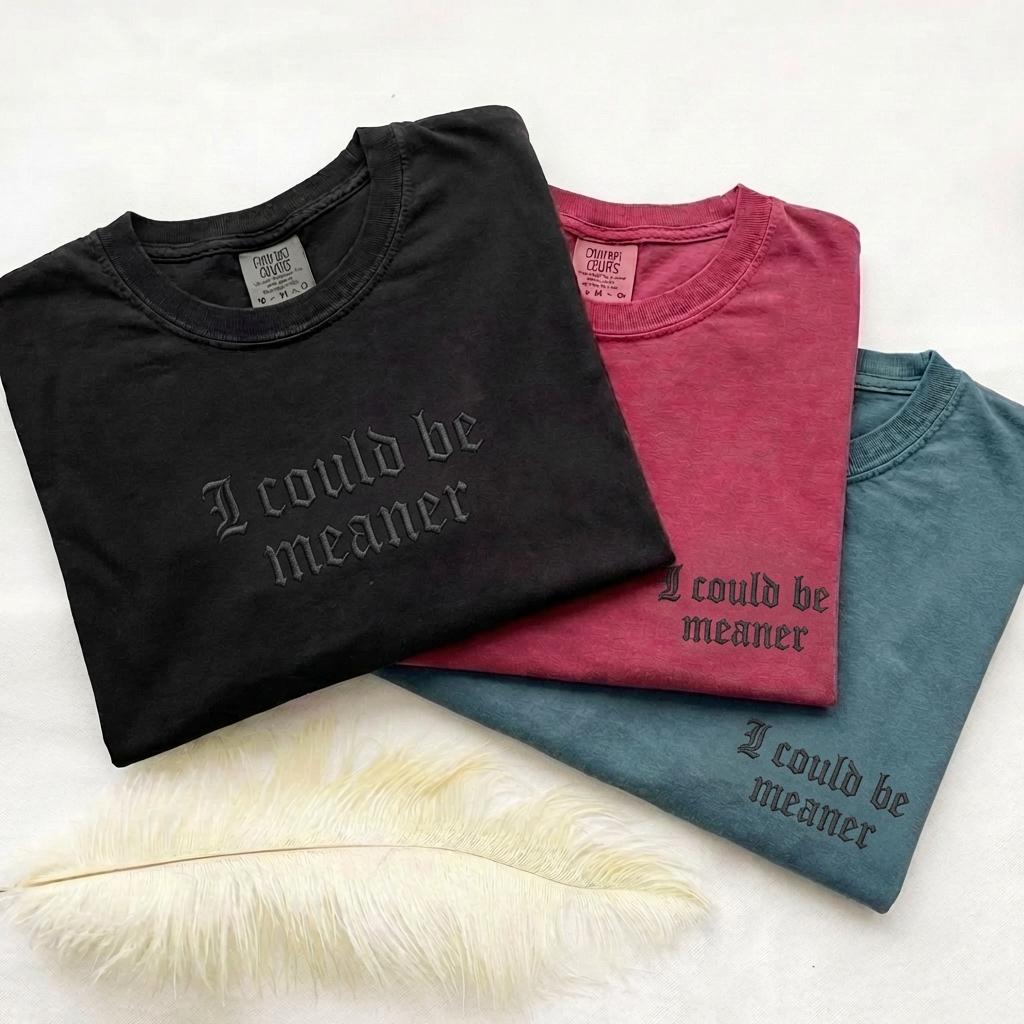 Embroidered Comfort Colors® I Could Be Meaner TShirt, Funny Shirt For Women, Sarcasm Tee, Funny Quote Oversized Shirt, Gift for Her