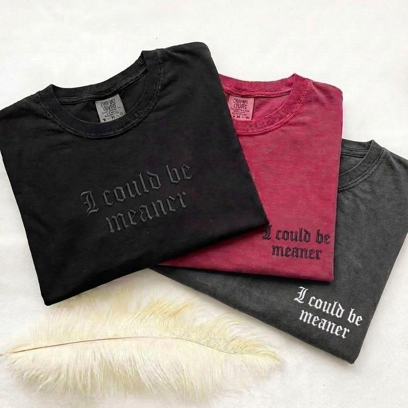 May include: Three t-shirts in black, burgundy, and charcoal gray, each with the embroidered phrase "I could be meaner." The shirts have a vintage, washed appearance and a crew neck design. The shirts are folded and stacked.