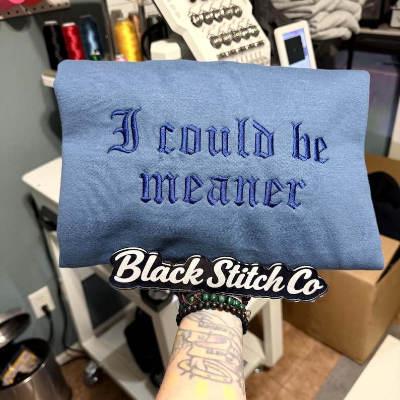 I Could Be Meaner Embroidered Sweatshirt, Funny Humor Shirt, Sarcastic Tee, Funny Quote Crewneck, Sarcasm Shirt, Trendy Shirt for Women image 3