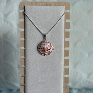 Silver Sunshine Shell Necklace