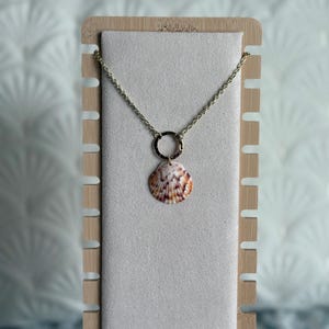 Gold Sunshine Shell Necklace