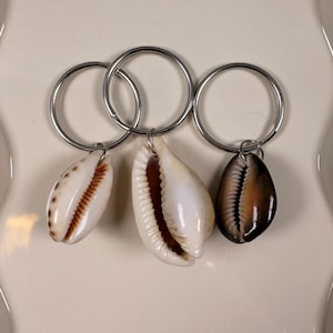 Puede incluir: Tres llaveros de conchas marinas con anillos de metal plateado. Las conchas son blancas, marrones y marrón oscuro, mostrando patrones naturales. Los llaveros están dispuestos sobre una superficie color crema.