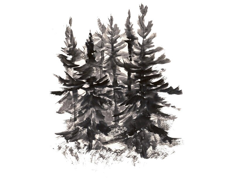 Ink and Brush Evergreen Trees sumi e style Etsy