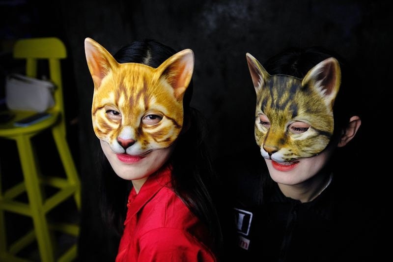 Cat Mask Rave Festival Cosplay Animal Latex Mascara Head Hood