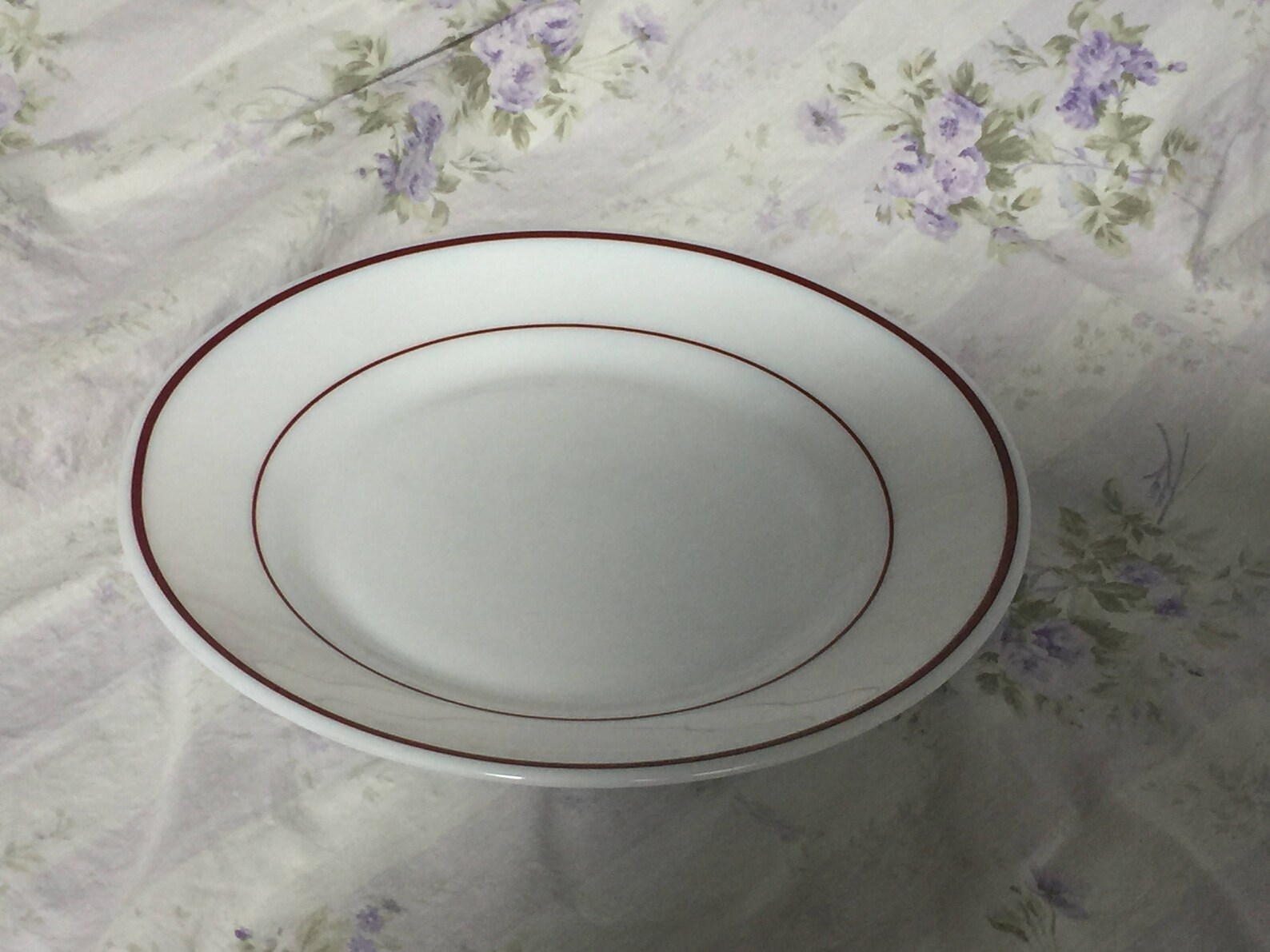small-french-restaurant-plates-set-of-6-etsy