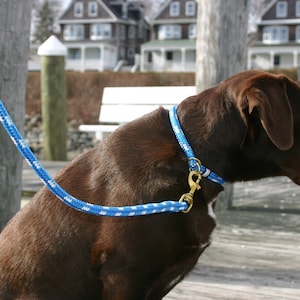 Nautical Dog Collar - Rope Dog Collar - Handmade - Fair Leads