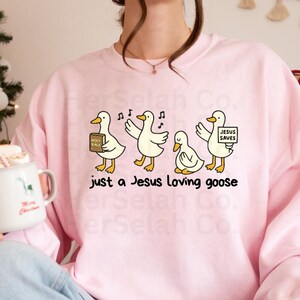 Puede incluir: Sudadera rosa claro con un dise&ntilde;o de cuatro gansos de dibujos animados. Uno sostiene una Biblia, otro un cartel que dice "Jesus Saves". El texto "just a Jesus loving goose" est&aacute; impreso debajo.