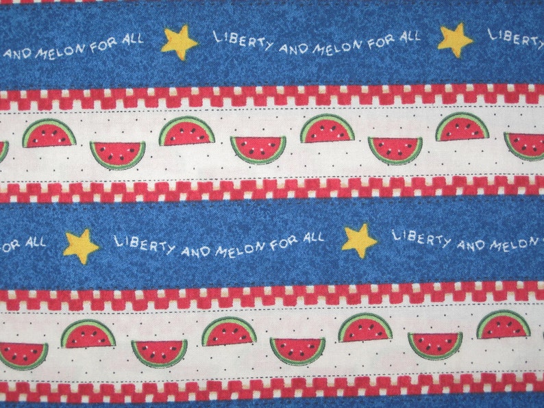 Daisy Kingdom Liberty and Melon for All stripe Watermelon Patriotic 41 X 42 image 2