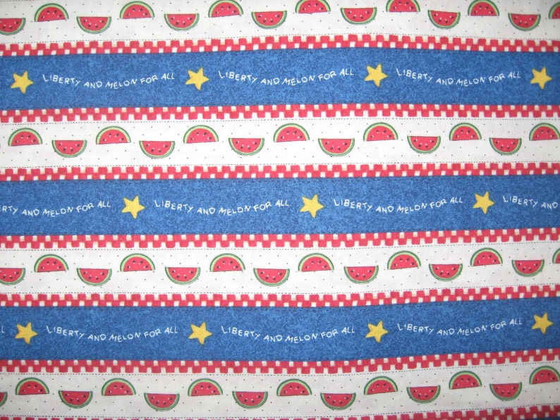 Daisy Kingdom Liberty and Melon for All stripe Watermelon Patriotic 41 X 42 image 1