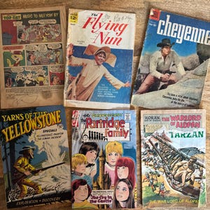 Miscellaneous Vintage Comics Lot Of 6, Some Missing Covers And Writing On Them