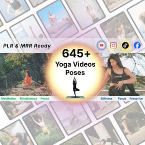 Yoga Videos Poses PLR MRR Content Creator Meditation Wellness Relaxation 647 Videos Digital Download