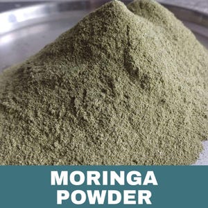 Hoja de moringa orgánica natural (entera o en polvo), Moringa oleifera, baqueta india, lote fresco, envío gratuito