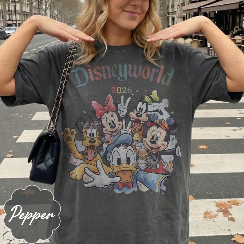 Pu&ograve; includere: T-shirt grigio scuro con una grafica colorata di Disneyworld 2026 con Topolino, Minnie, Paperino, Pluto e Pippo. La maglietta ha un aspetto vintage e usurato.