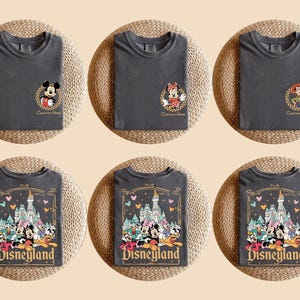 Pu&ograve; includere: Sei magliette grigio antracite sono esposte su tappetini intrecciati. Tre magliette presentano disegni di personaggi di Topolino, Minnie e Jessie. Le altre tre magliette hanno una grafica di Disneyland con vari personaggi e il logo Disneyland.