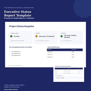 Executive Status Report Template - Project Update Deck for Leadership (PowerPoint)