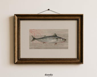 Vintage Mackerel Illustration: Nautical Cottagecore Fish Print (Digital Download