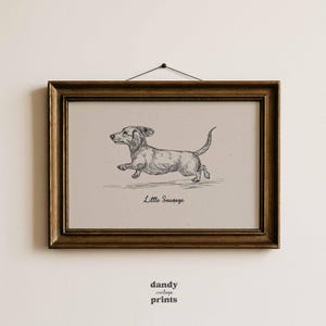 Può includere: Una stampa incorniciata con un'illustrazione di un bassotto che corre, in bianco e nero. Le parole "Little Sausage" sono sotto il cane. La cornice è di colore oro scuro e ornata. La stampa è appesa a una parete bianca.