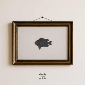 Vintage Fisch Print: Cottagecore Küche Badezimmer Wand Kunst (Digitaler Download)