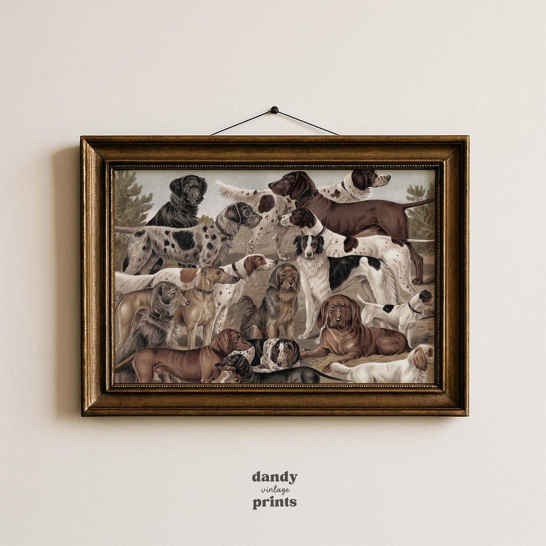 Vintage Dog Breeds Art Print: Antique Painting Wall Decor (digital ...