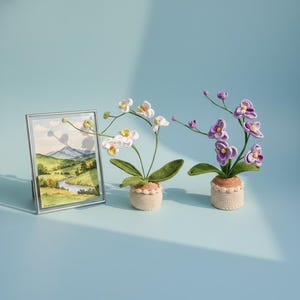 Eternal Bloom - Etsy