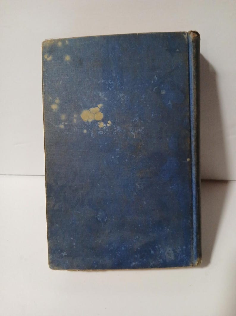 The Negro, Too, In American History by Merl R. Eppse 1949 Hardcover image 3