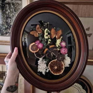 Real Butterfly Shadow Box Art – Vintage Bubble Glass Frame – Oval Framed Nature Display – Dried Flowers – Victorian Style Wall Art
