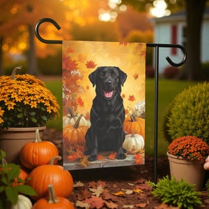 May include: A garden flag featuring a black Labrador Retriever with a happy expression, set against a backdrop of pumpkins and autumn leaves. The flag is displayed on a black metal stand, perfect for fall decor.