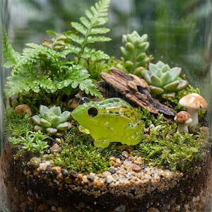 May include: A miniature terrarium in a glass jar, featuring a vibrant green frog figurine, small mushrooms, succulents, and lush green moss. The scene includes small pebbles and a piece of driftwood, creating a miniature garden scene.