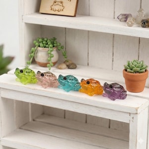 May include: A collection of six miniature, translucent frog figurines in various colors: green, pink, blue, orange, and purple. The frogs are arranged on a white shelf, with a small succulent plant in a terracotta pot to the right.
