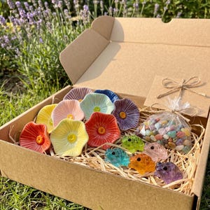 Könnte beinhalten: Ein Karton gefüllt mit bunten, blütenförmigen Keramikschalen und kleinen Glasfroschfiguren. Die Blüten sind in verschiedenen Farben, darunter Rot, Gelb und Blau. Ein kleiner Beutel mit Süßigkeiten ist ebenfalls enthalten.