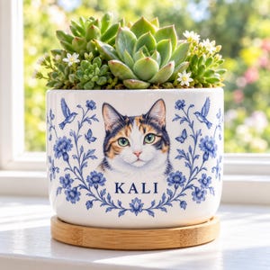 Può includere: Un vaso in ceramica bianca con sottovaso in bambù contenente piante succulente. Il vaso presenta un motivo floreale blu, un'illustrazione centrale di un gatto calico e il nome KALI stampato in blu sotto il muso del gatto.