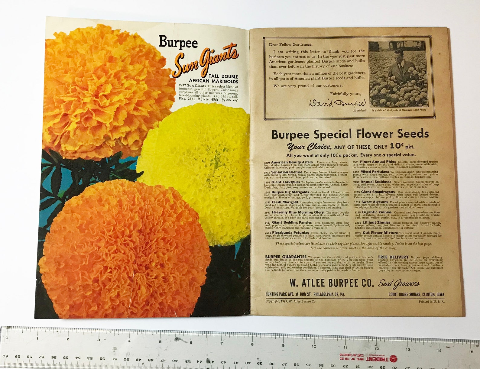 Vintage Burpee Seed Catalog Original Circa 1950 Flower Seeds and