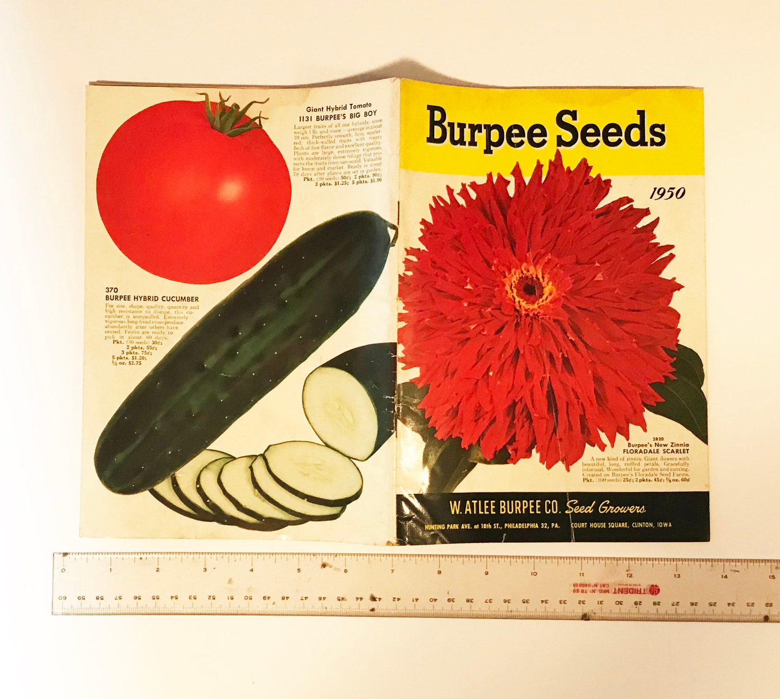 Vintage Burpee Seed Catalog Original Circa 1950 Flower Seeds and