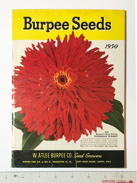 Vintage Burpee Seed Catalog Original Circa 1950 Flower Seeds and Veggies  Color Prints Gardening Kitchen Decor - Etsy Israel