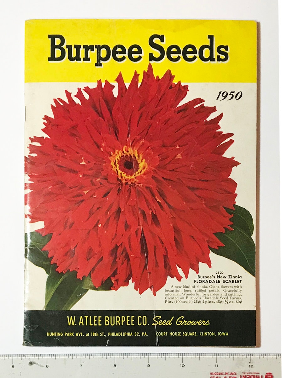 Vintage Burpee Seed Catalog Original Circa 1950 Flower Seeds and