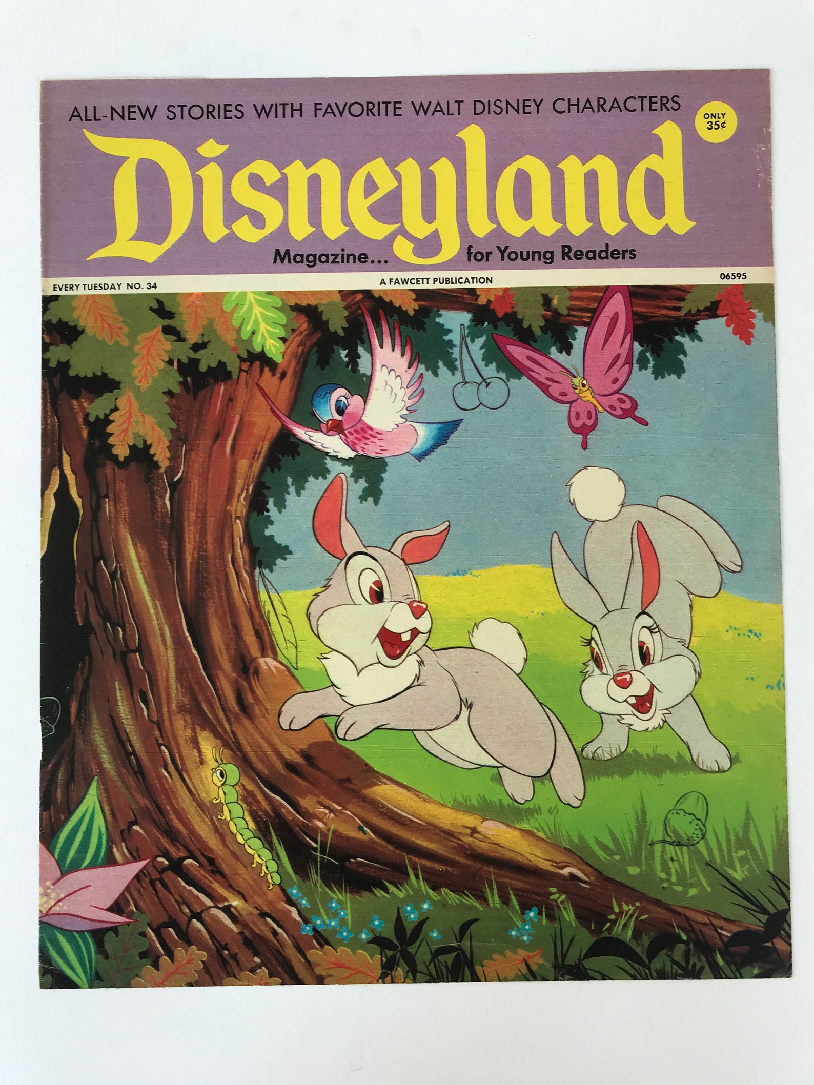 Disney Disneyland Vintage Magazine Cover Circa 1971 Disney Etsy