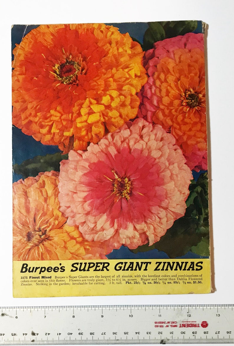 burpee seed catalog online
