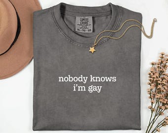 May include: A grey t-shirt with the white text "nobody knows i'm gay". A gold star pendant necklace is on the shirt. A brown hat and dried flowers are in the background. The t-shirt is a Comfort Colors brand.
