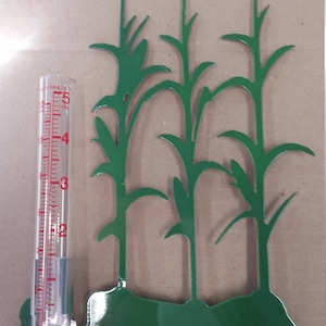 Corn Rain Gauge
