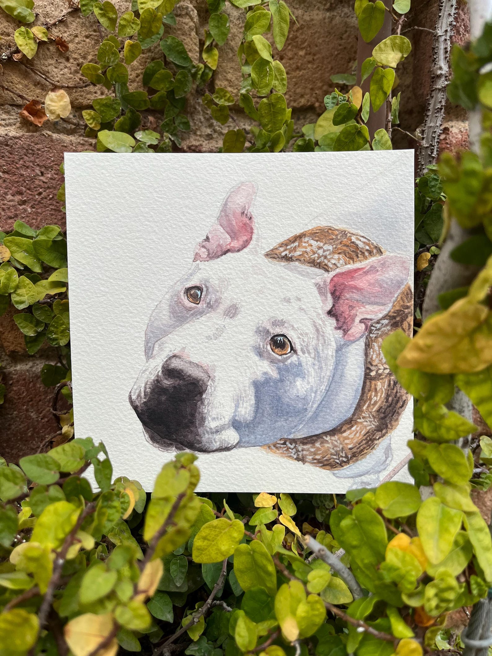 Retrato Personalizado de Mascota en Acuarela Pequeña