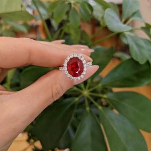 May include: A close-up of a ring featuring a large, oval-cut red gemstone surrounded by a halo of smaller, clear gemstones. The ring's band is also adorned with smaller gemstones. The ring is held against a backdrop of green foliage.