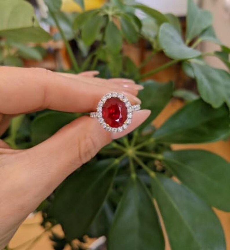 May include: A close-up of a ring featuring a large, oval-cut red gemstone surrounded by a halo of smaller, clear gemstones. The ring's band is also adorned with smaller gemstones. The ring is held against a backdrop of green foliage.