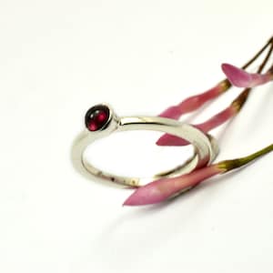 Può includere: Un anello d'argento con una singola pietra preziosa rossa incastonata al centro.