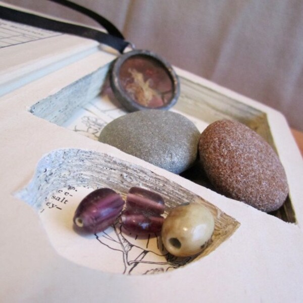 Altered Book - Beginner's Guide to Wildflowers Book Box