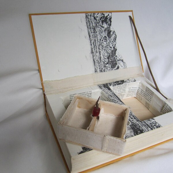Altered Book - Box with Removable Compartments