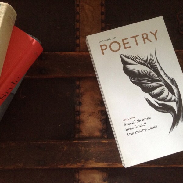 SALE - Book Safe: Stack of Poetry (September 2009)