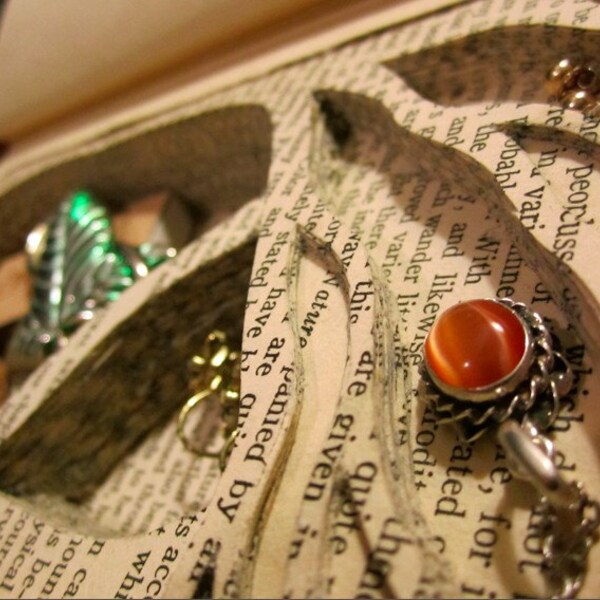 The Origin of Species Book Box
