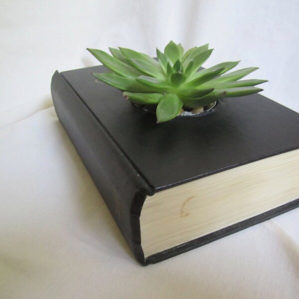 Altered Book - "Green Darkness" Succulant Plant Holder